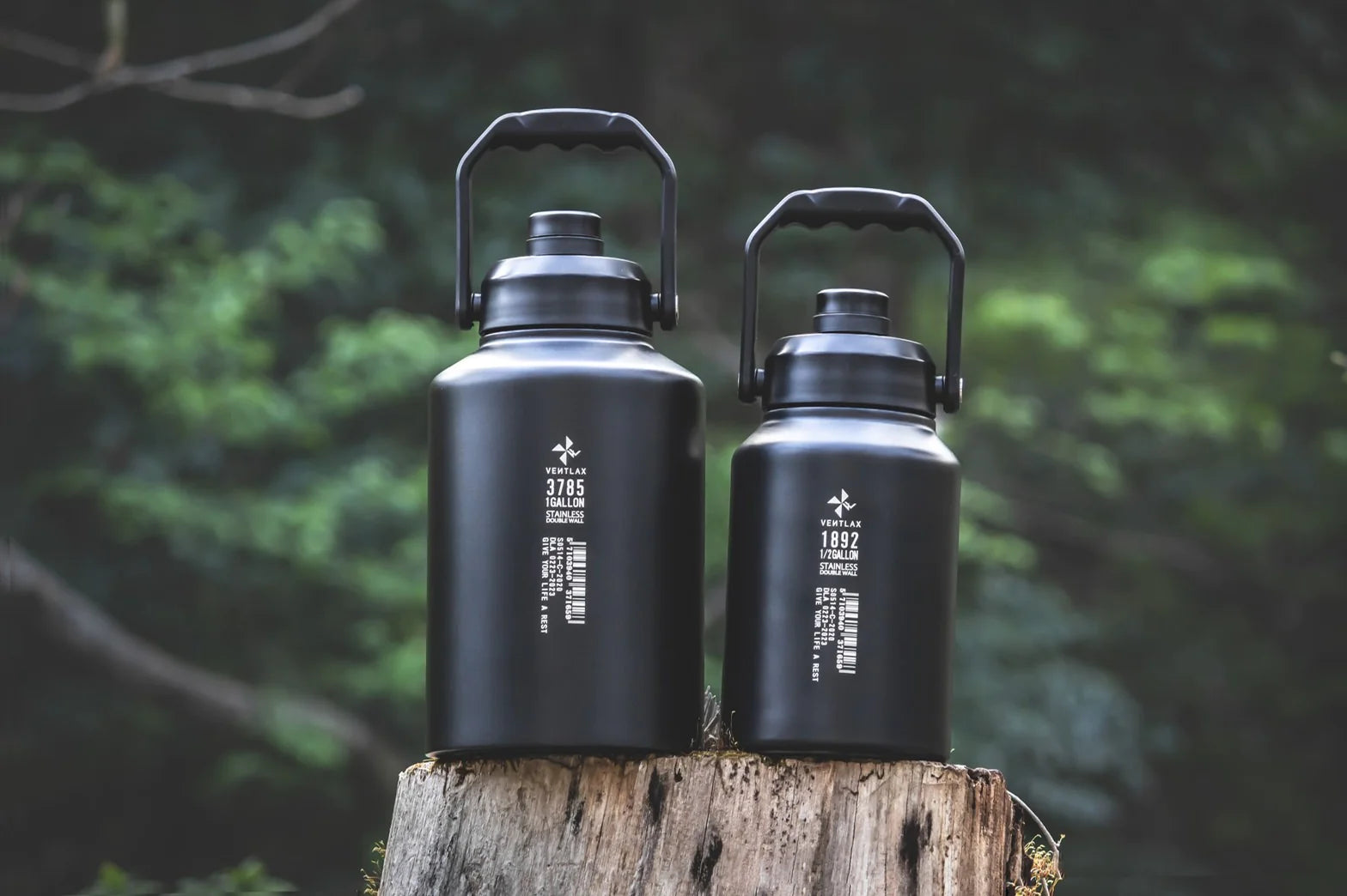 趣味・スポーツ・実用 Coffee floats, Tee sinks. Through Histor 趣味・スポーツ・実用 Coffee floats, Tee sinks. Through