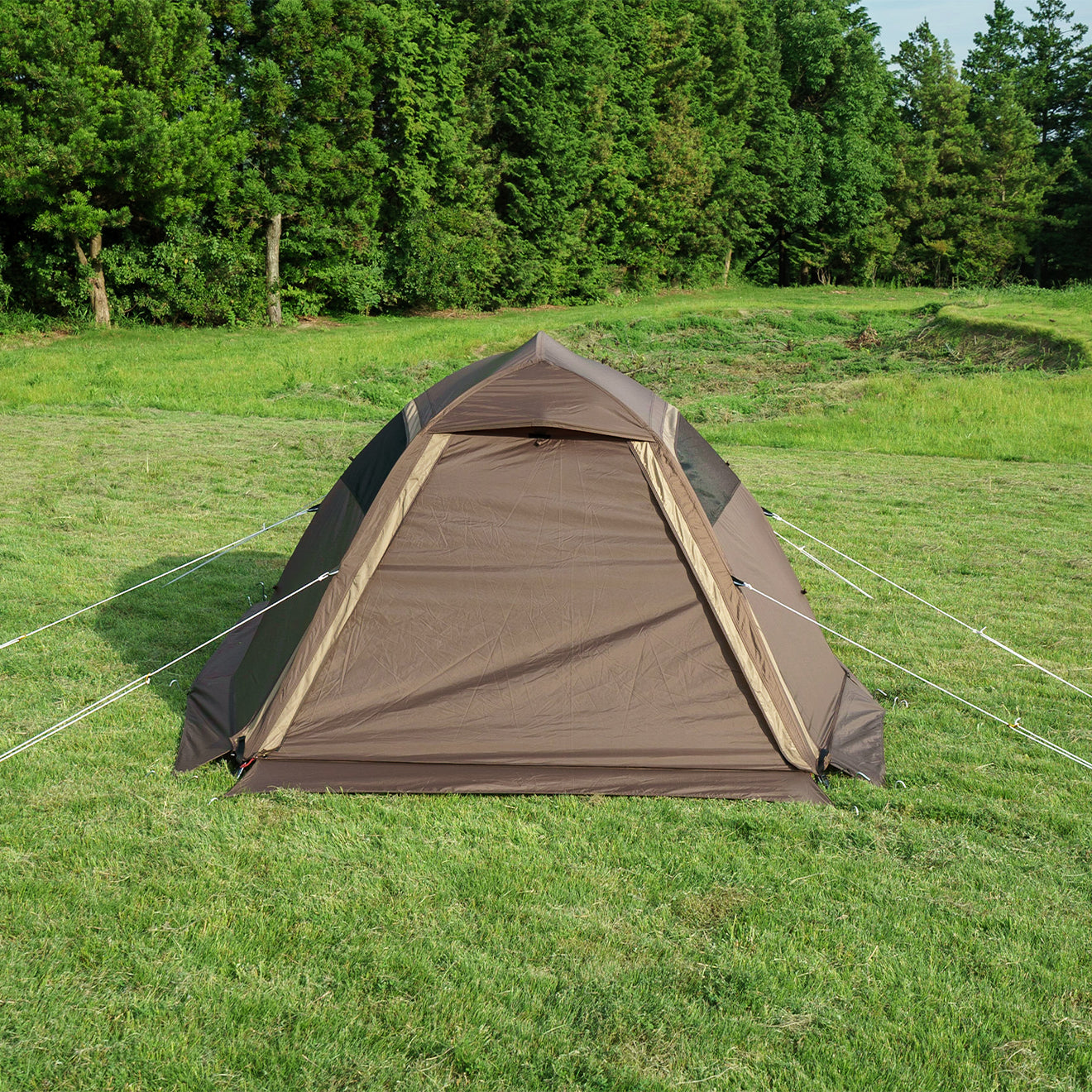 Ogawa ステイシーファルダ – SATORY